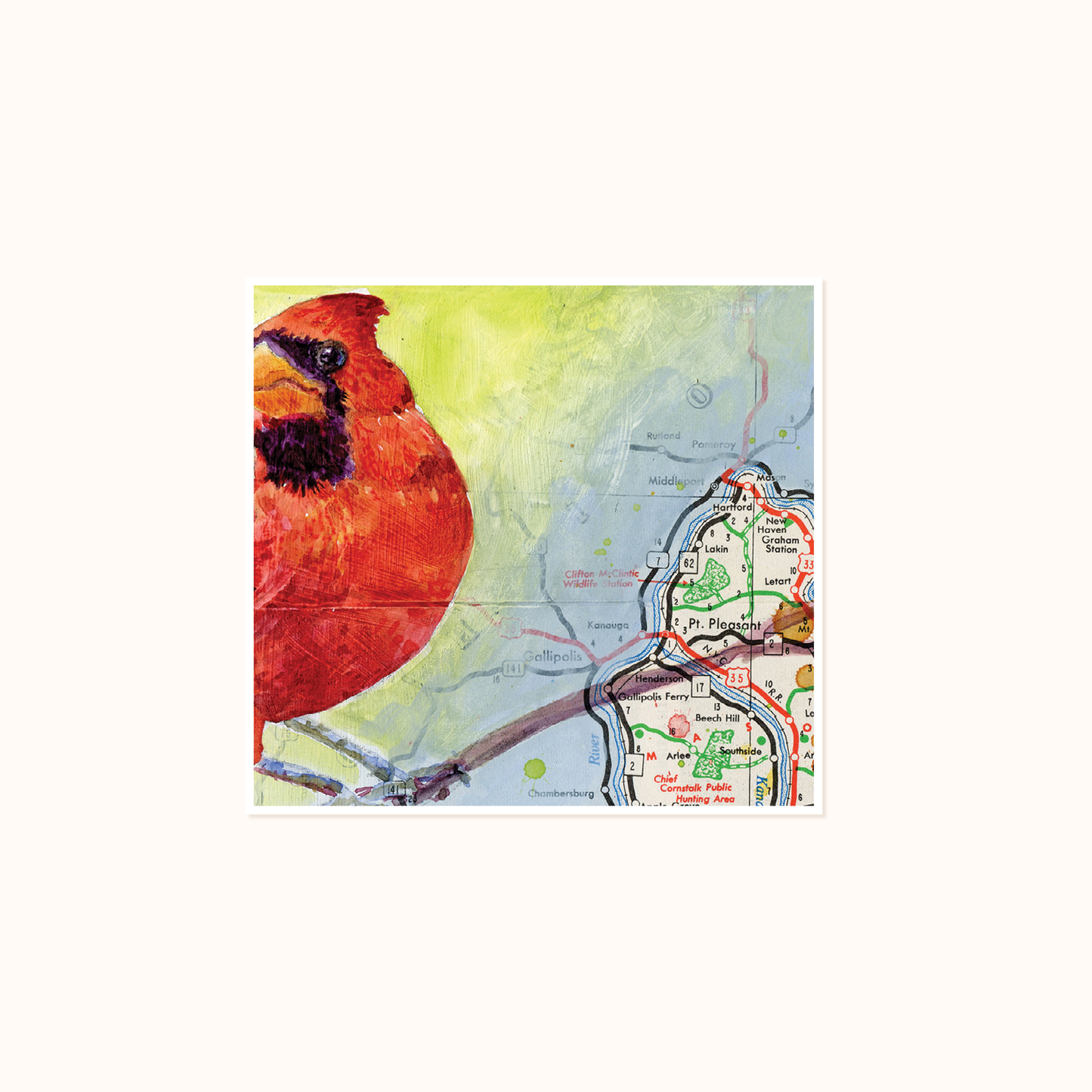 Scenic Route - Cardinal 304