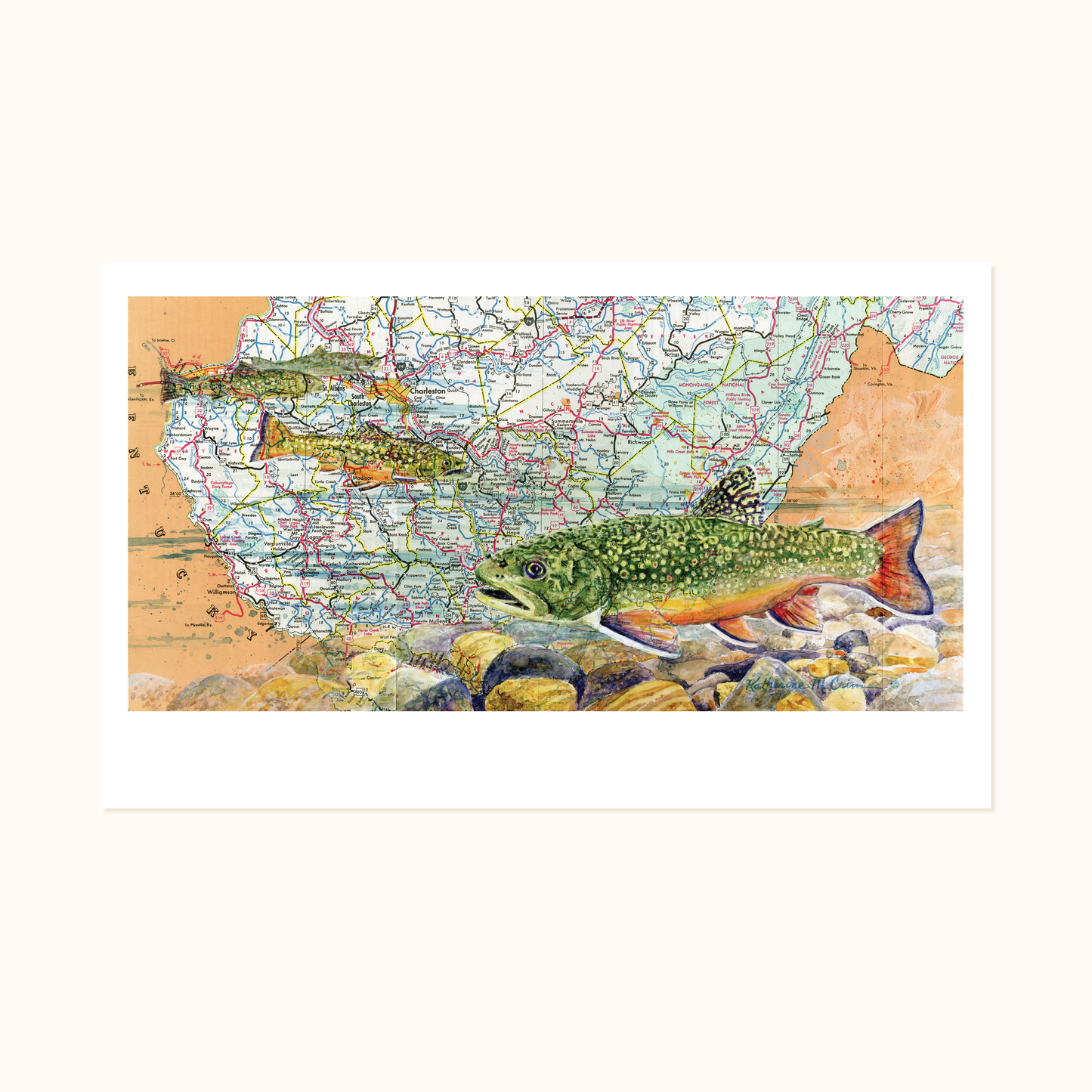 Scenic Route - Brook Trout