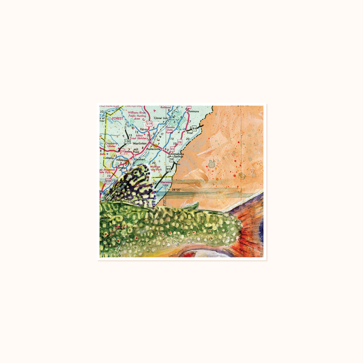 Scenic Route - Brook Trout
